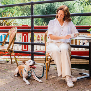 Knala Sea Blue Stripe dog harness on dog outdoors