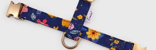 Knala Floral Blue dog harness with gold hardware, shown close up.