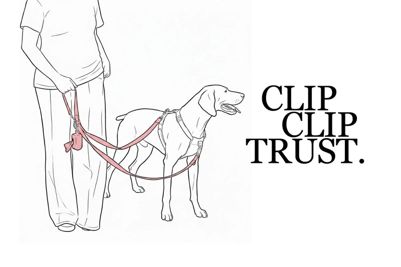 Lead attached to two points on harness