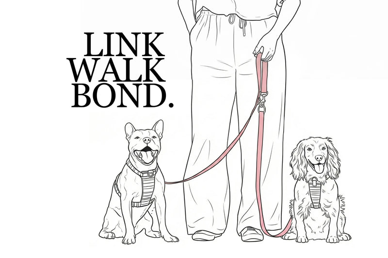 Walking two dog on one lead